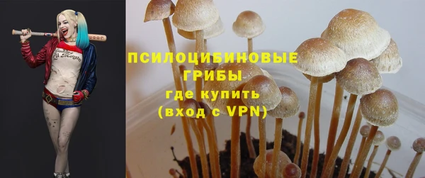 ALPHA PVP Алексин