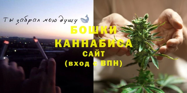 ALPHA PVP Алексин