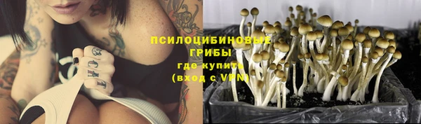 ALPHA PVP Алексин